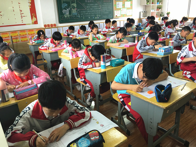 学生英语比赛，阳光下的难忘时光与英语风采展现