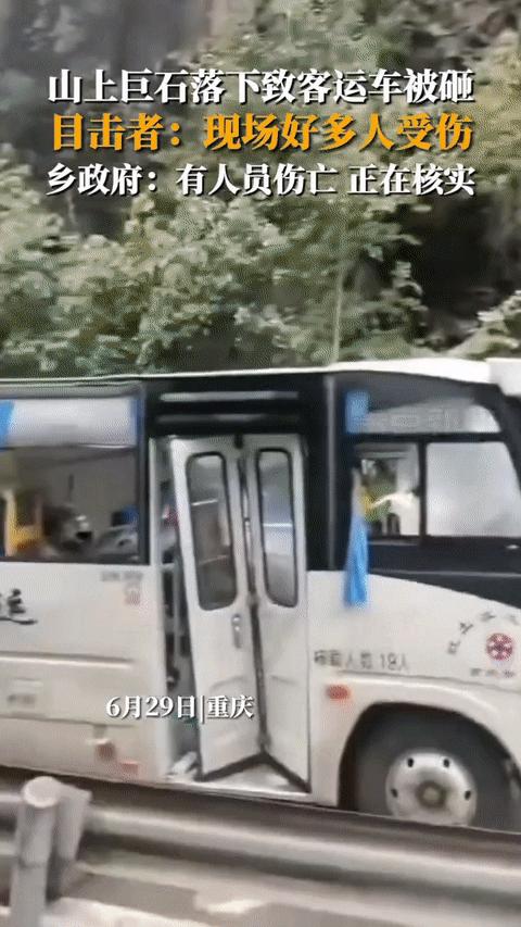 奉节县最新概况概览